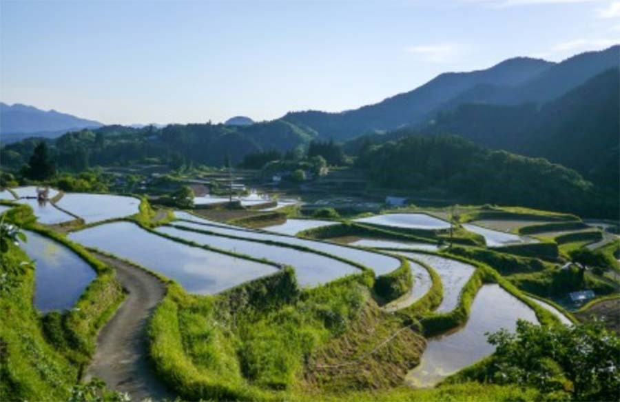 Voyager à Banaue aux Philippines